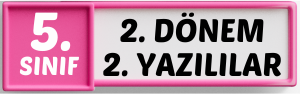 Ortaokul İngilizce