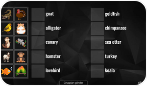 Ortaokul İngilizce