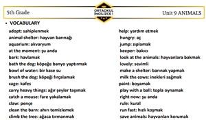 Ortaokul İngilizce